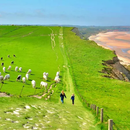 La Petite Boulonnaise Cosy Avec Cour Privative - Proche Nausicaa Lejlighed Boulogne-sur-Mer